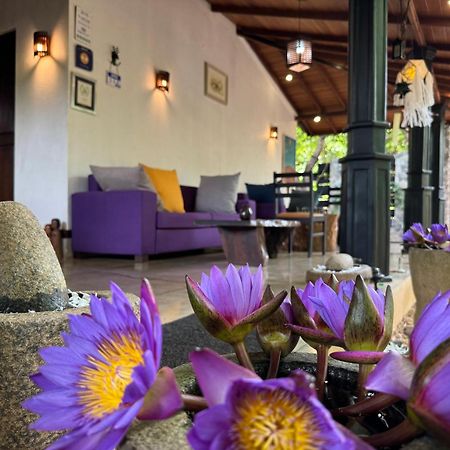 The Green Edge Dambulla Exterior foto
