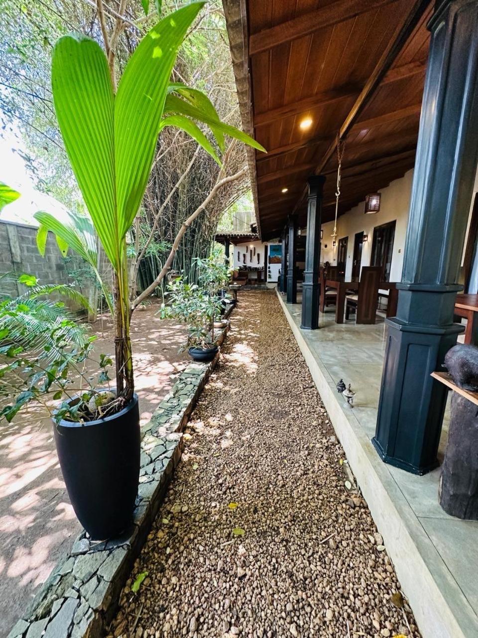 The Green Edge Dambulla Exterior foto